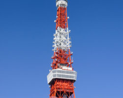 【TOKYO地元メシ＆サケ】東京タワーで11/3に開催されるイベントに出店します♪