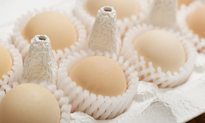 東京うこっけい卵　通常タイプ