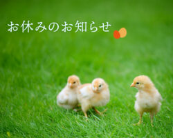 お休みのお知らせ