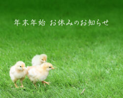 2025-2026〈年末年始〉お休みのお知らせ