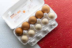 「寒卵」と書かれた10個入り紙パックに入った東京うこっけい卵ノーマルタイプ５個、たまごころ５個を真上から撮った写真